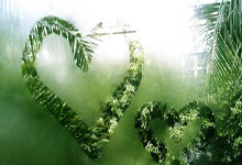 雷速体育官网：[足球之夜]伊万科维奇：对胜利要保持渴望.